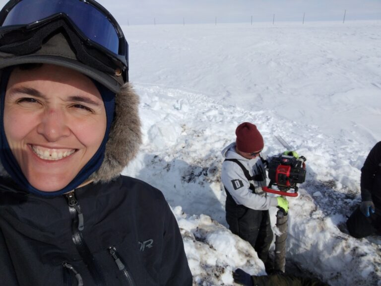 Exploring Microbes in Arctic Soils