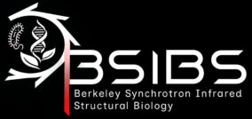 BSISB