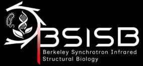BSISB